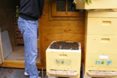 die ersten beiden Völker Sommer 2005  MINOLTA DIGITAL CAMERA